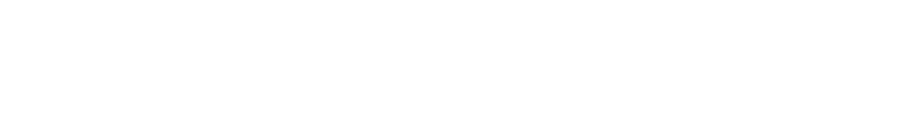 Silicon Power Industrial